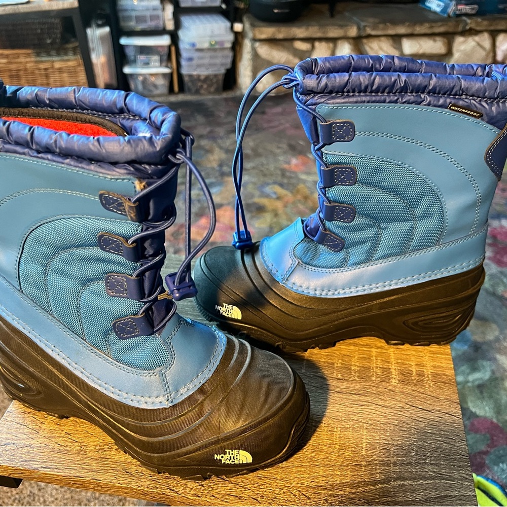 The North Face Blue Winter Boots